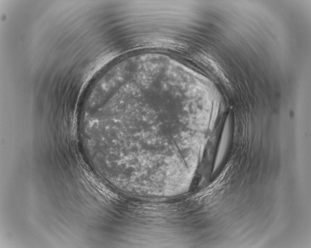 X0000087020780200705071508