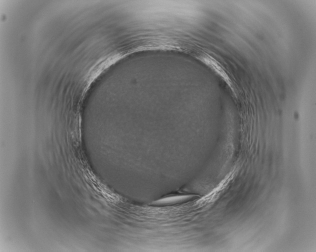 X0000087020781200705071508