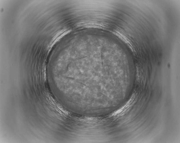 X0000087020782200705071508