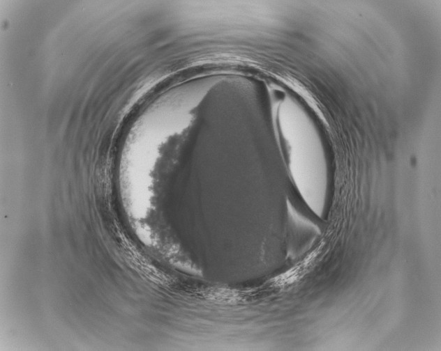 X0000087020783200705071508