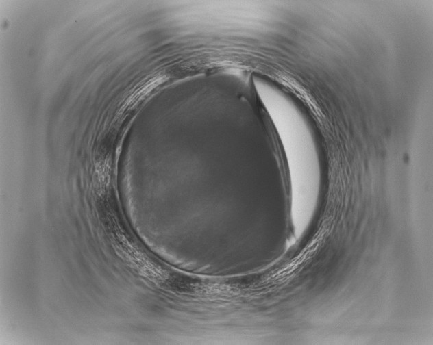 X0000087020785200705071508