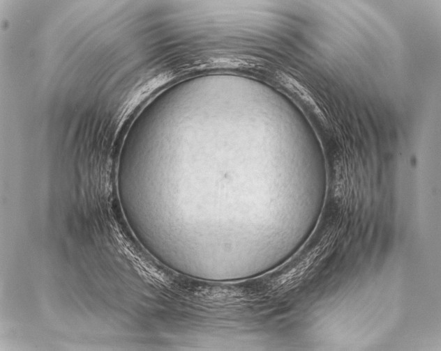 X0000087020786200705071508