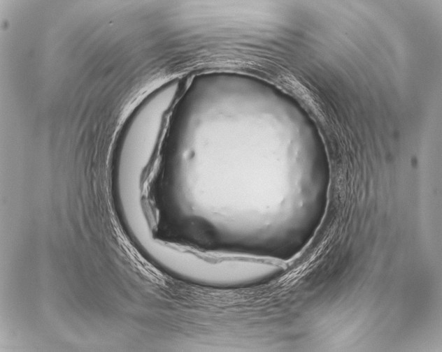 X0000087020787200705071508