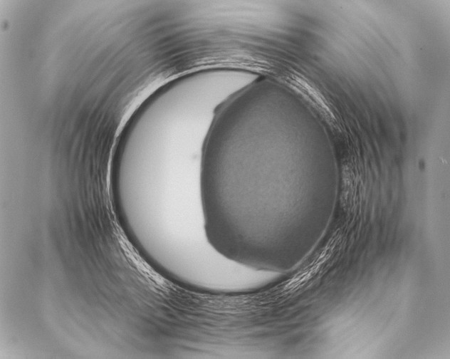 X0000087020788200705071508