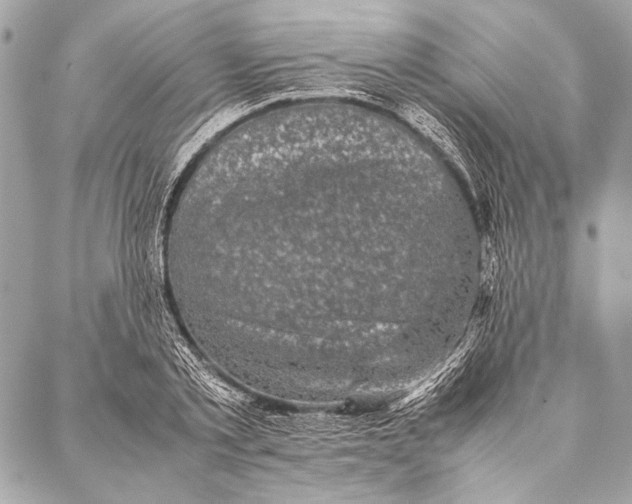 X0000087020789200705071508