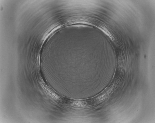 X0000087020790200705071508