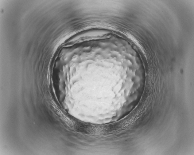 X0000087020791200705071508