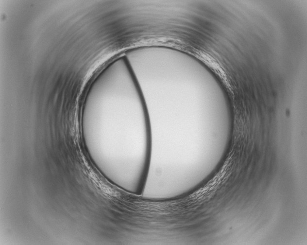 X0000087020792200705071508