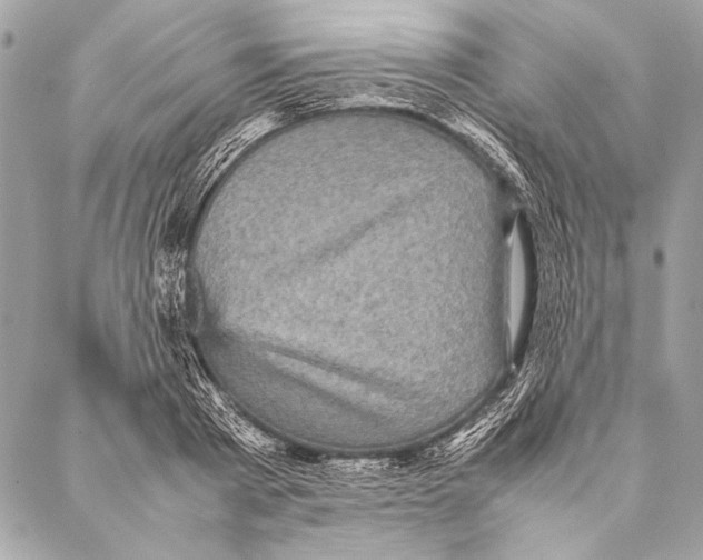 X0000087020793200705071508