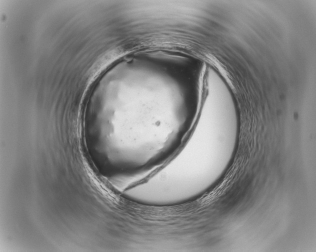 X0000087020795200705071508