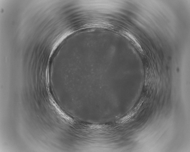 X0000087020796200705071508