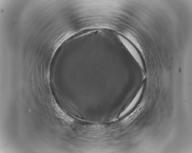 X0000087020797200705071508