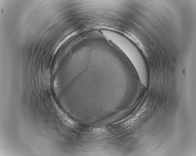 X0000087020798200705071508