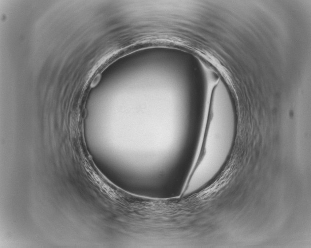 X0000087020799200705071508