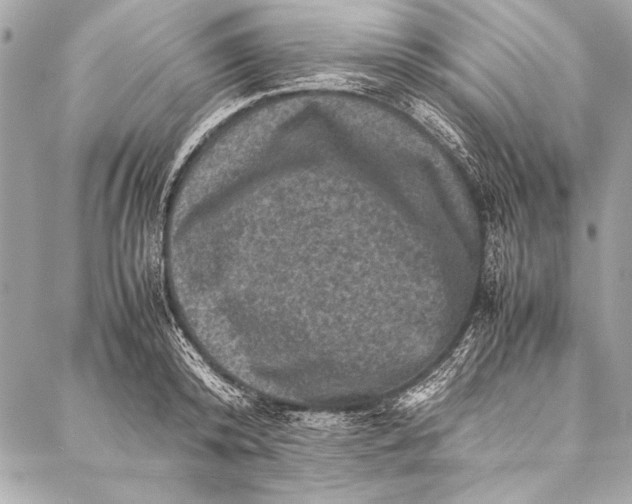 X0000087020800200705071508