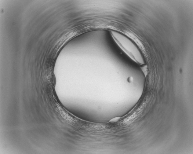 X0000087020801200705071508