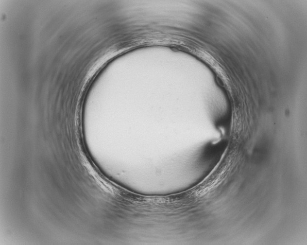 X0000087020803200705071508