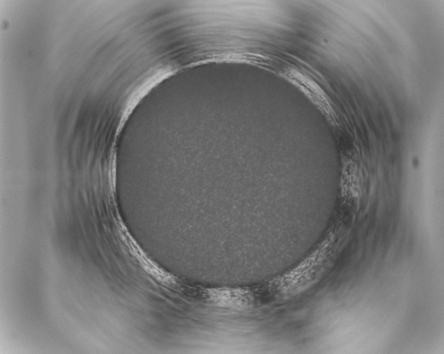 X0000087020804200705071508