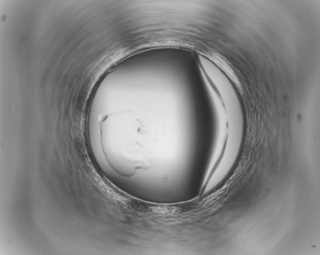 X0000087020805200705071508