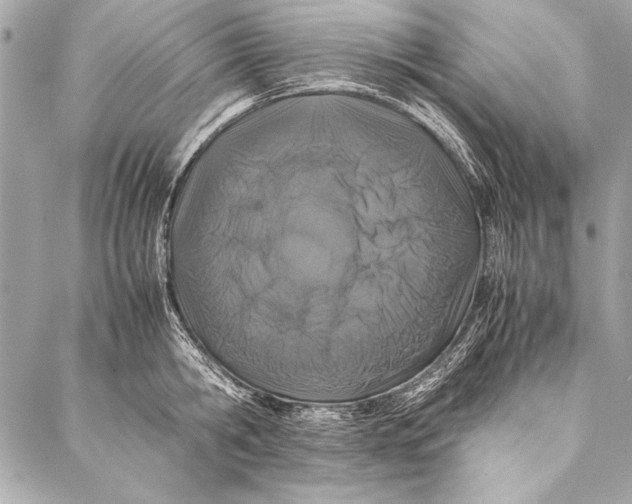 X0000087020806200705071508