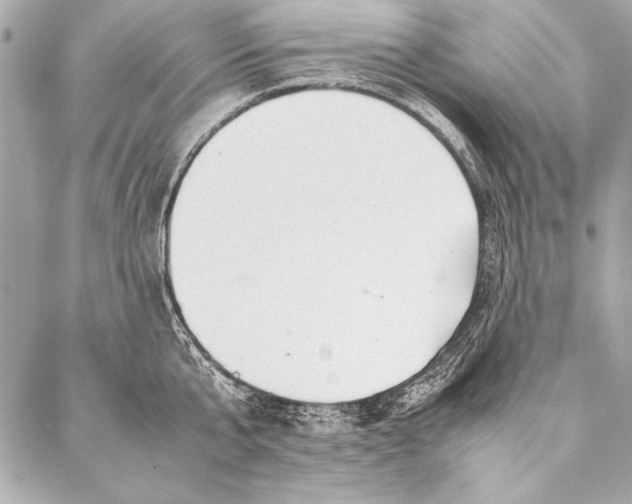 X0000087020807200705071508