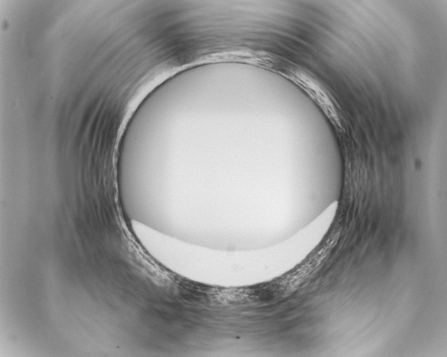 X0000087020808200705071508