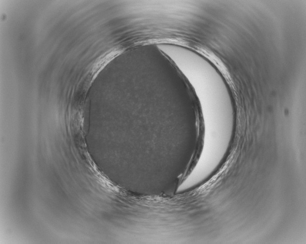 X0000087020809200705071508