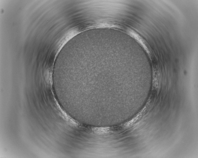 X0000087020810200705071508