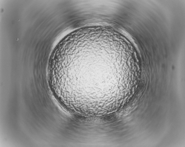 X0000087020811200705071508