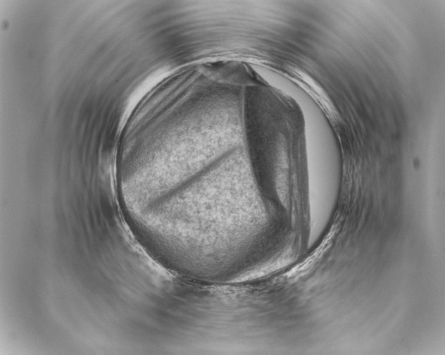 X0000087020812200705071508