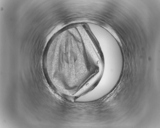 X0000087020813200705071508