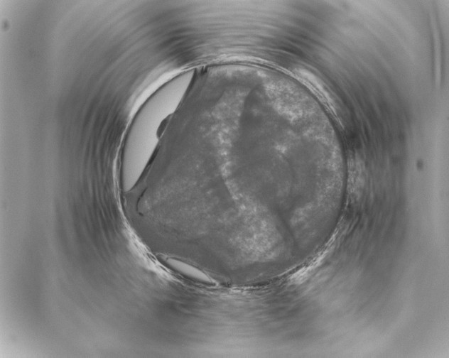 X0000087020814200705071508