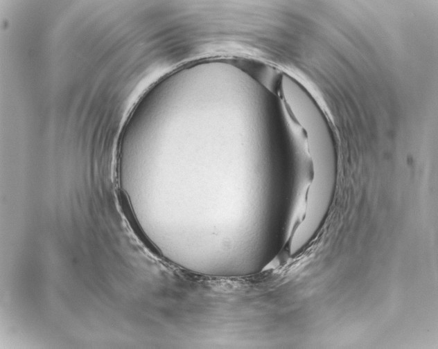 X0000087020815200705071508