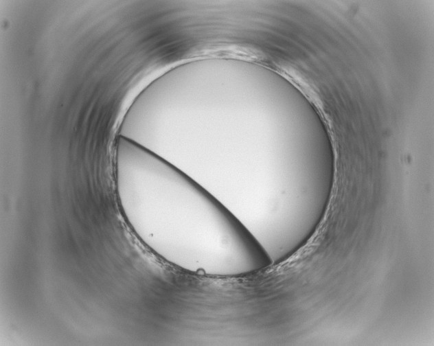 X0000087020816200705071508