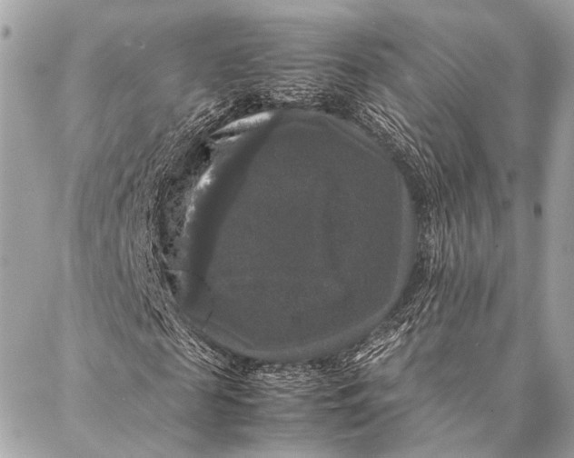 X0000087020817200705071507