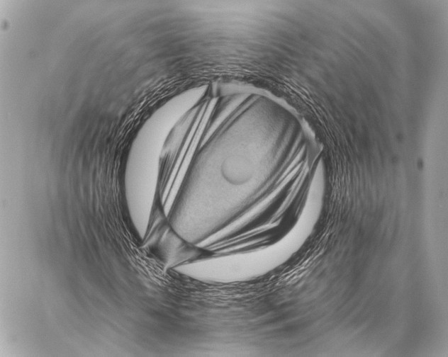 X0000087020818200705071507