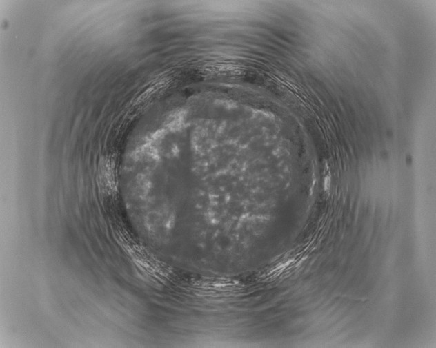 X0000087020819200705071507