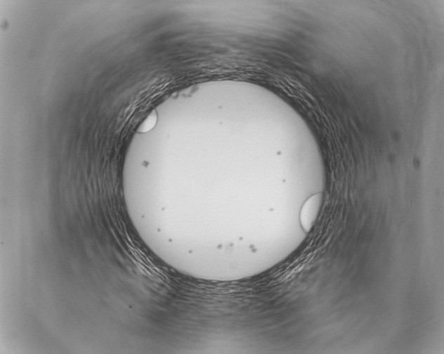 X0000087020820200705071507