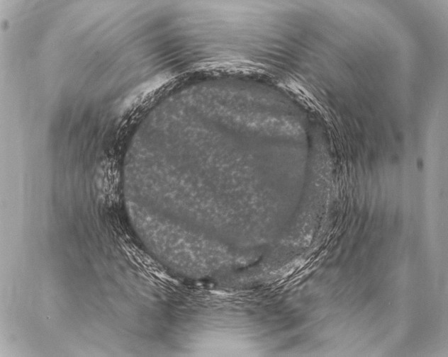 X0000087020822200705071507