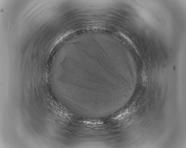 X0000087020823200705071507