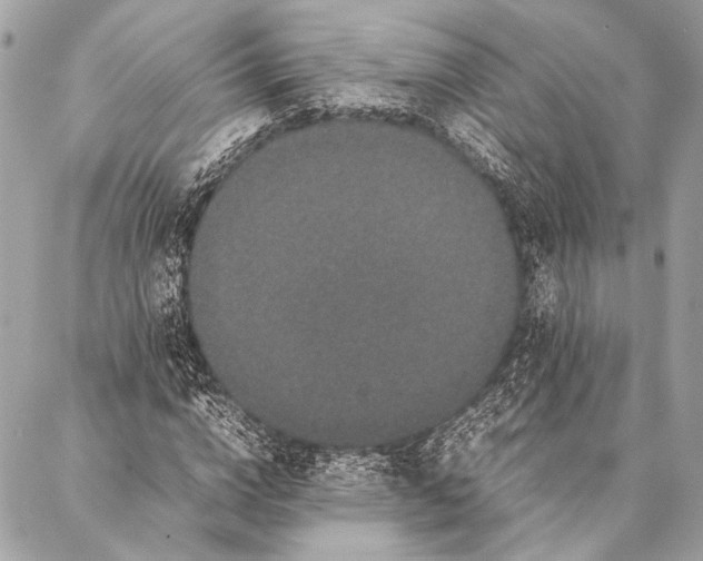 X0000087020824200705071507