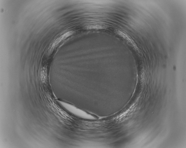 X0000087020825200705071507