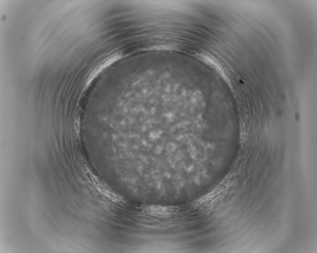 X0000087020827200705071507