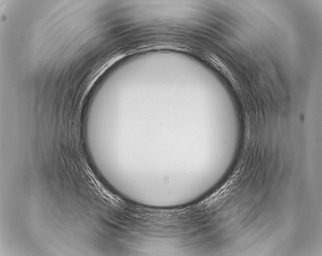 X0000087020828200705071507