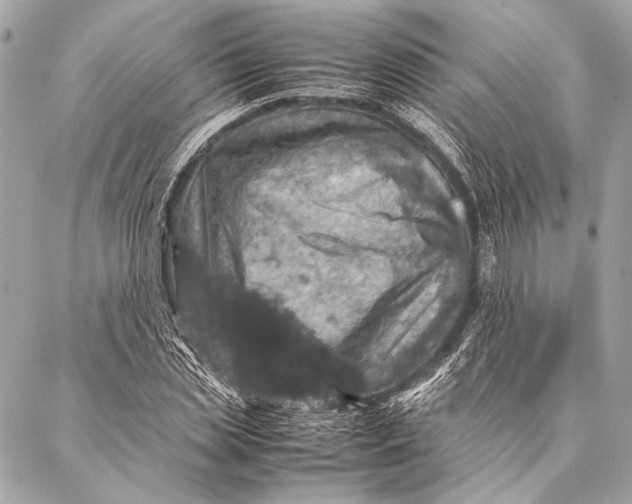 X0000087020829200705071507