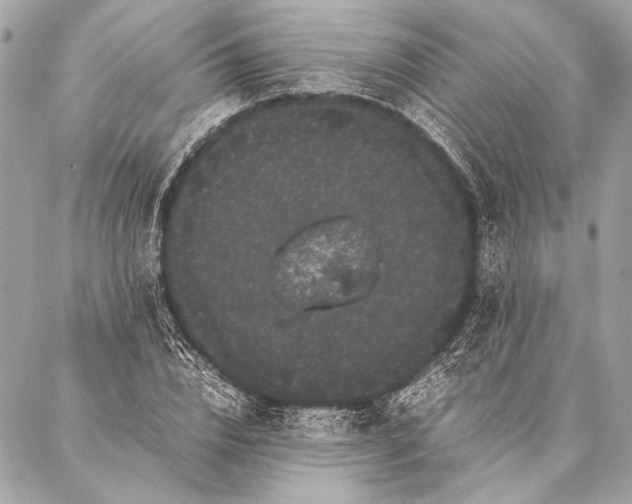 X0000087020832200705071507