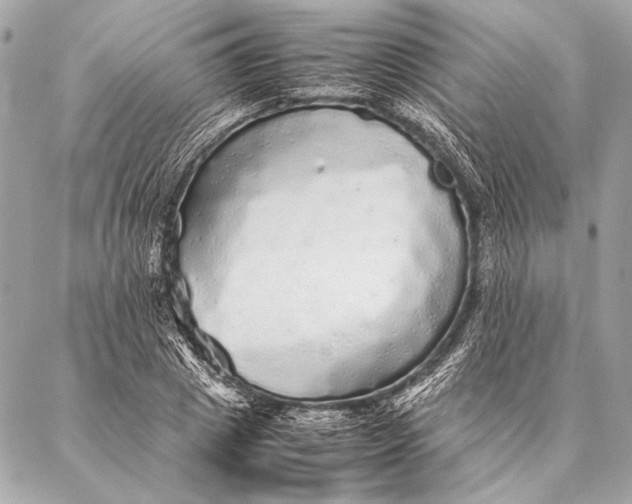 X0000087020833200705071507