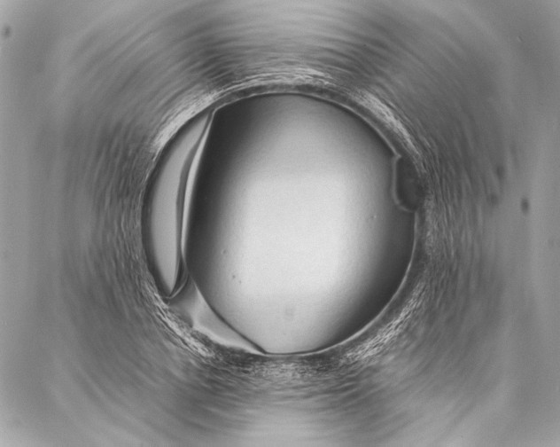 X0000087020834200705071507