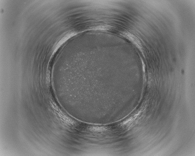 X0000087020835200705071507