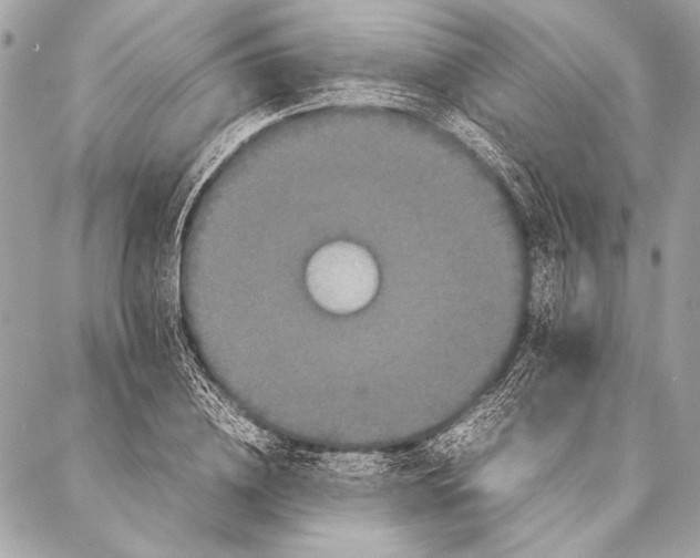 X0000087020836200705071507